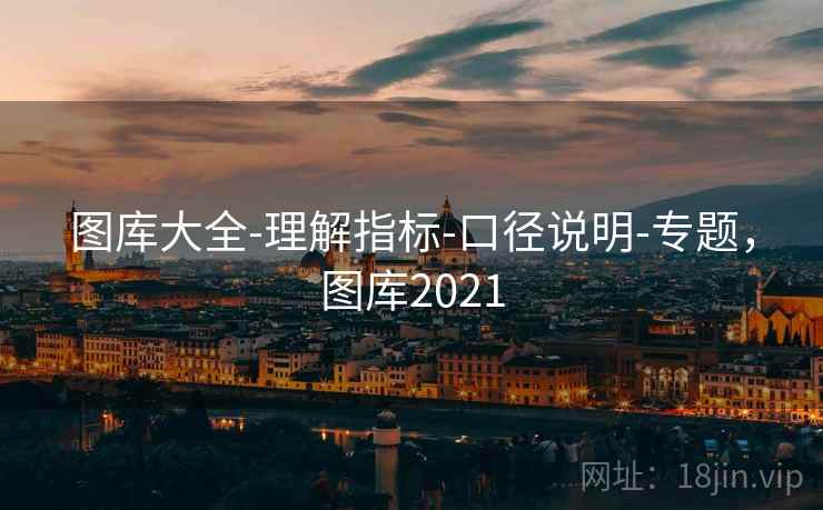 图库大全-理解指标-口径说明-专题，图库2021