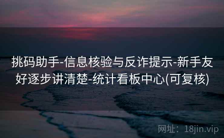 挑码助手-信息核验与反诈提示-新手友好逐步讲清楚-统计看板中心(可复核)